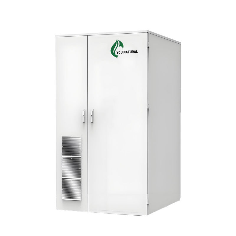 Dostosowanie 30kW 55kWhh Zewnętrzny przemysłowy gabinet do przechowywania energii